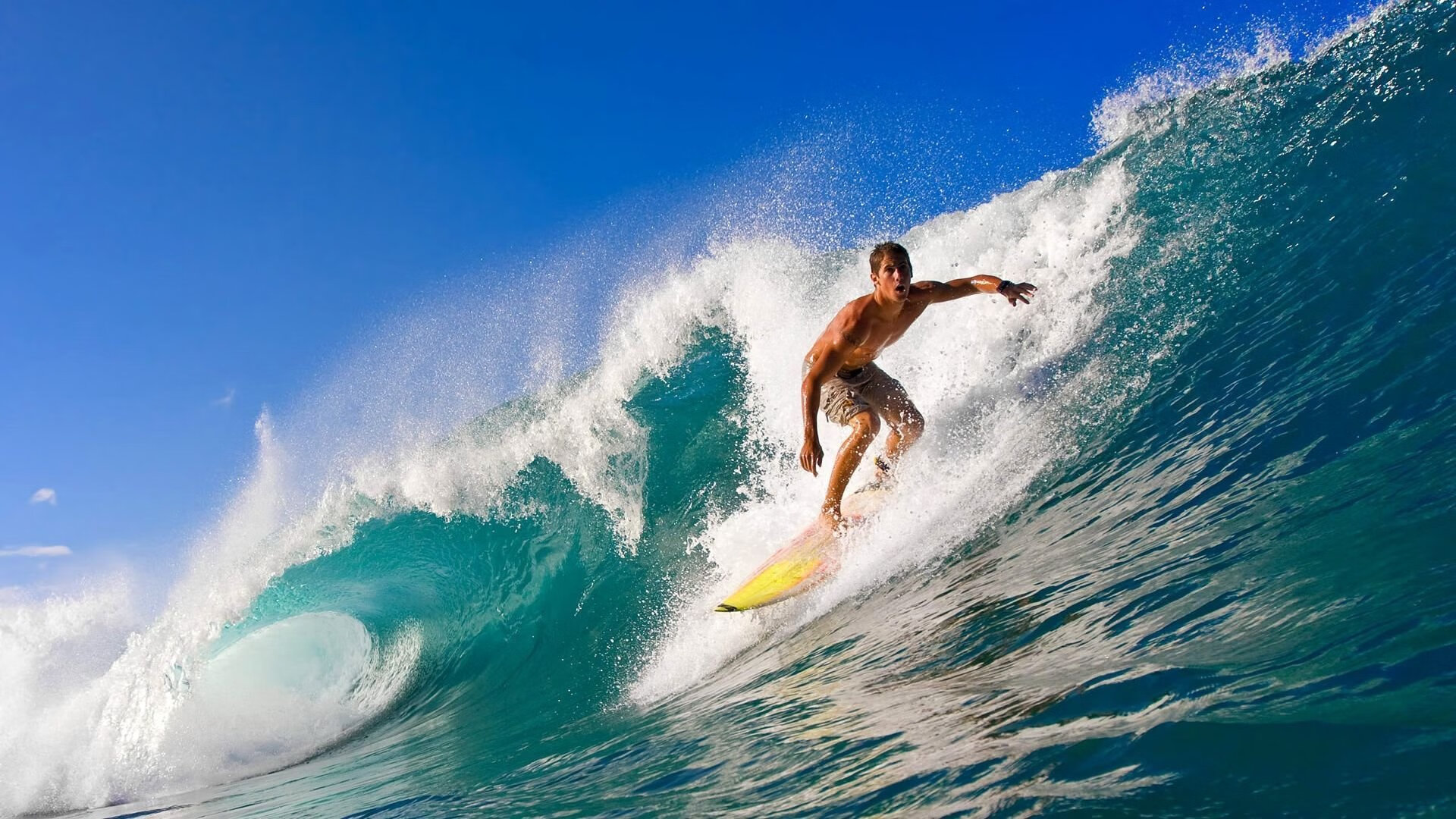 九游(jiuyou)官方网站-《堡垒之夜》官方举行线下粉丝见面会，堡垒之夜up主